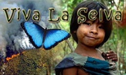 Viva La Selva